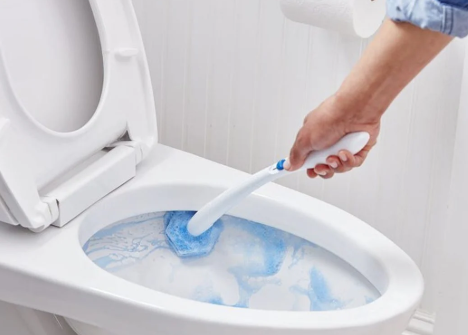 Best Germ Protection oilet cleaner. the Image here shows how to clean a toilet with Royal & Co's Toilet Cleaner.