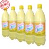 commercial floor cleaner liquid - Royal & Co