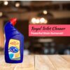 how to clean toilet stains - Royal & Co