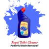 Toilet cleaner for hard water stains - Royal & Co