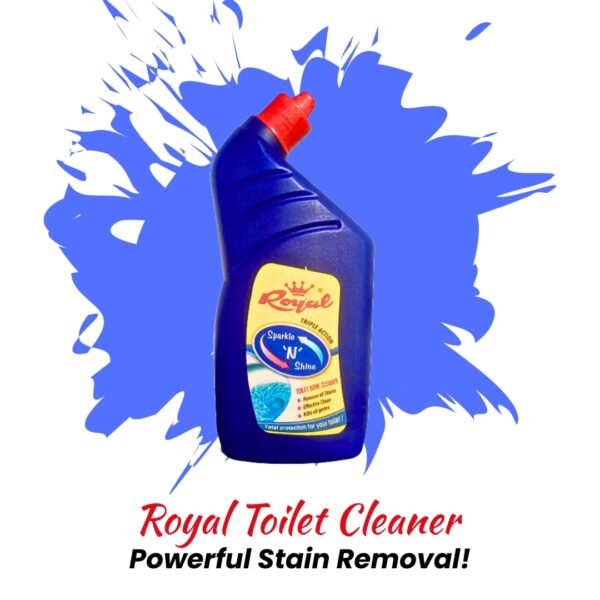 Toilet cleaner for hard water stains - Royal & Co